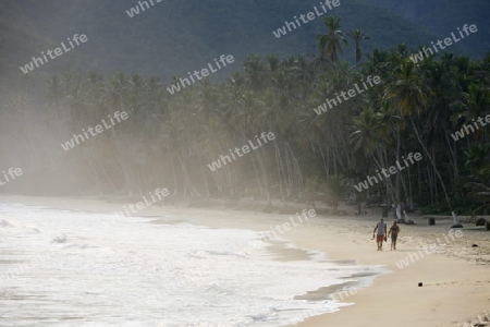 Suedamerika, Karibik, Venezuela, Nord, Choroni, National Park Hanri Pittier, Strand, Beach, Palmenstrand, Natur, Landschaft, Paar, Menschen, Ferien, Idylle, Bucht, Meer