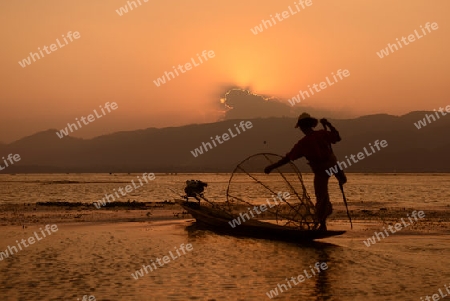 Fishermen at sunrise in the Landscape on the Inle Lake in the Shan State in the east of Myanmar in Southeastasia.