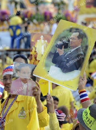 Tausende von Thailaender zelebrieren den Kroenungstag des Koenig Bhumibol auf dem Sanam Luang Park vor dem Wat Phra Kaew in der Stadt Bangkok in Thailand in Suedostasien.  