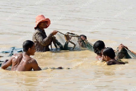 The People at wort in the Lake Village Kompong Pluk at the Lake Tonle Sap near the City of Siem Riep in the west of Cambodia.