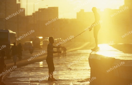 the Malecon road on the coast in the old townl of the city of Havana on Cuba in the caribbean sea