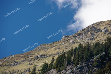 Im Floitengrund bei Ginzling/?sterreich