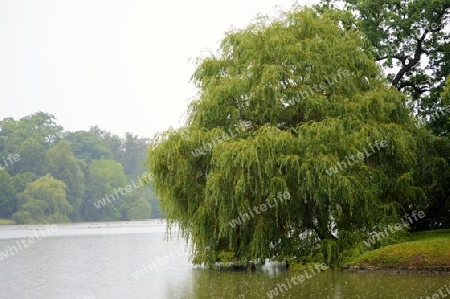 Kassel Park See