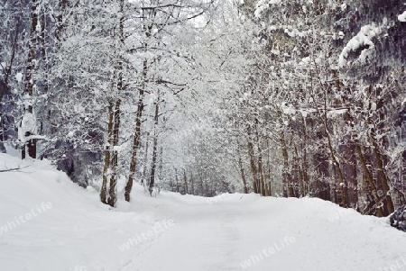 Winterlandschaft