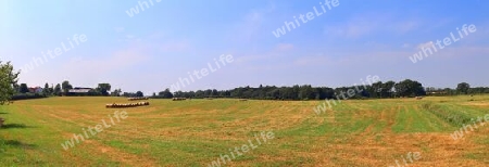 Beautiful high resolution panorama of a northern european country landscape with fields and green grass.