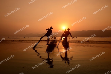 Fishermen at sunrise in the Landscape on the Inle Lake in the Shan State in the east of Myanmar in Southeastasia.