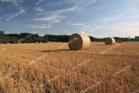 Strohballen