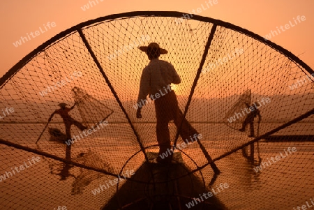 Fishermen at sunrise in the Landscape on the Inle Lake in the Shan State in the east of Myanmar in Southeastasia.