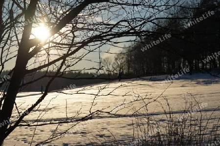 Wintersonne