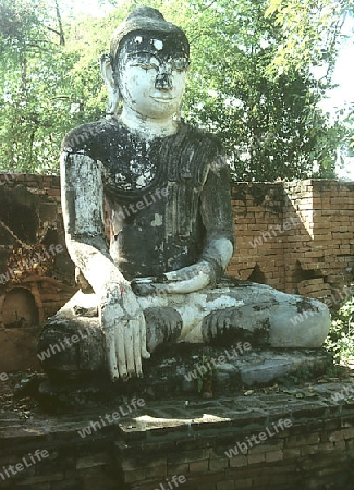 Buddha