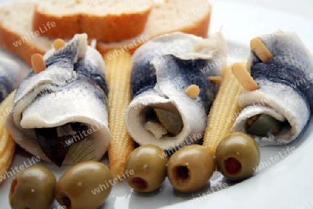 Rollmops