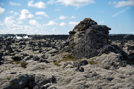 Der S?dwesten Islands, Reykjanes Halbinsel s?dlich von Reykjavik, Lavafeld an der "Blauen Lagune"