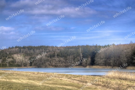 landscape at spring time