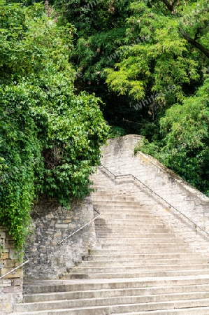 Treppe