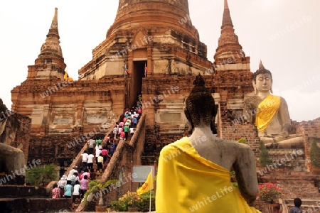 Der Wat Yai Chai Tempel in der Tempelstadt Ayutthaya noerdlich von Bangkok in Thailand.