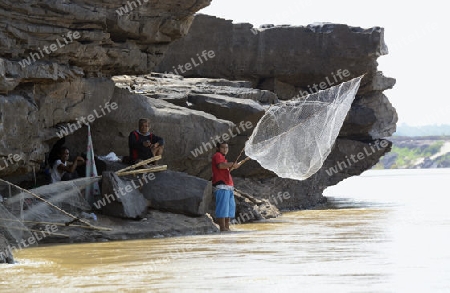 Ein Fischer in der Steinlandschaft im Mekong River des Naturpark Sam Phan Bok bei Lakhon Pheng am Mekong River in der Provinz Amnat Charoen nordwestlich von Ubon Ratchathani im nordosten von Thailand in Suedostasien.