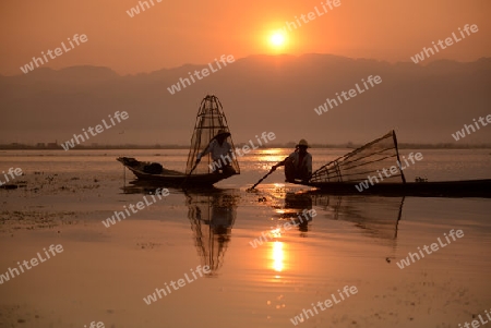 Fishermen at sunrise in the Landscape on the Inle Lake in the Shan State in the east of Myanmar in Southeastasia.