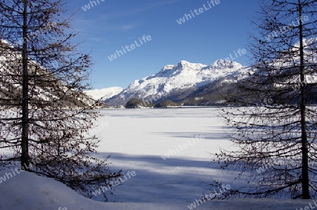 Silser See im Winter