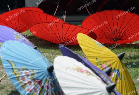 Traditionalle Schirme und Faecher aus Paier werden produziert in einer Papierschirm Fabrik in Chiang Mai im norden von Thailand in Suedostasien.