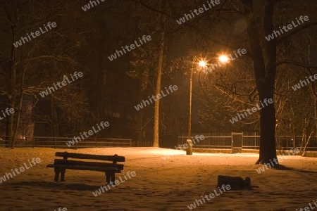 park im nacht