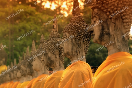 The Wat Yai Chai Mongkol Temple in City of Ayutthaya in the north of Bangkok in Thailand, Southeastasia.