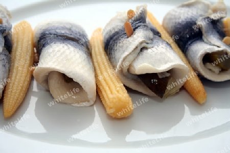 rollmops