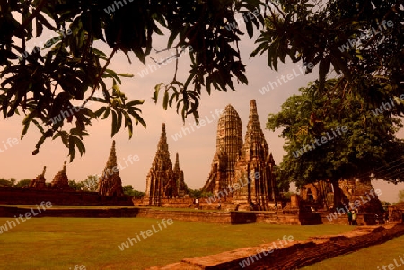 The Wat Chai Wattanaram Temple in City of Ayutthaya in the north of Bangkok in Thailand, Southeastasia.