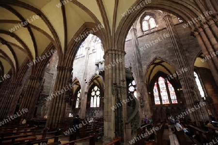 the muenster church in the old town of Freiburg im Breisgau in the Blackforest in the south of Germany in Europe.