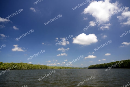 The mangroves at a lagoon near the City of Krabi on the Andaman Sea in the south of Thailand. 