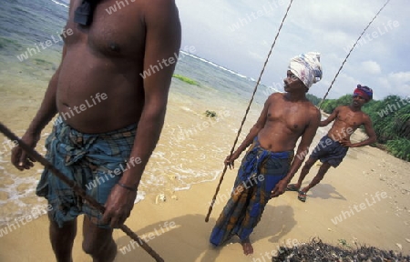 Asien, Indischer Ozean, Sri Lanka,
Traditionelle Fischer sogenannte Stelzenfischer beim Fischen in der naehe des Kuestendorf Ahangama an der Suedkueste von Sri Lanka. (URS FLUEELER)






