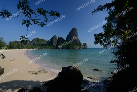 The Hat Railay Leh Beach at Railay near Ao Nang outside of the City of Krabi on the Andaman Sea in the south of Thailand. 