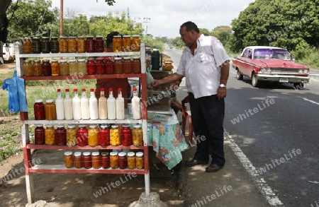 Amerika, Suedamerika, Venezuela, CoroEin Verkaufsstand im Eingemachten Fruechten an einer Hauptstrasse zwischen Maracaibo und Coro im Nordwesten von Venezuela