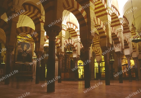 mezquita