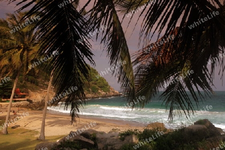 Der Strand  von Sai Daeng Beach auf der Insel Ko Tao im Golf von Thailand im Suedwesten von Thailand in Suedostasien. 