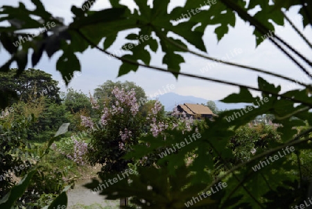 Die Landschaft in der Bergregion von Pai im norden von Thailand in Suedostasien.