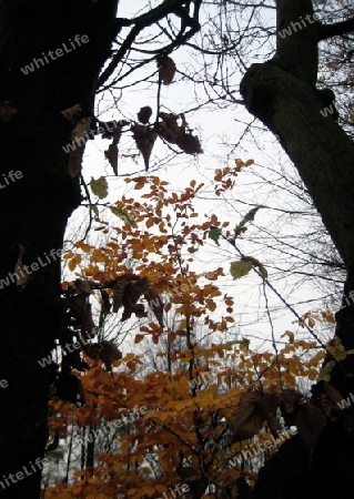 Englischer Garten M?nchen