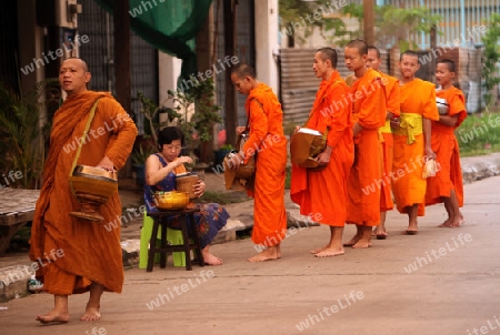 Moenche auf ihrem Rundgang am fruehem Morgen vor dem Tempel in der Stadt Tha Khaek in zentral Laos an der Grenze zu Thailand in Suedostasien.