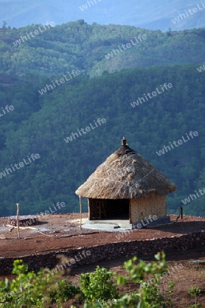 Asien, Suedostasien, Ost Timor, Timor-Leste, Timor, Maubisse, Bergregion, Minderheiten, Haus, Alltag,
Ein traditionelles Haus bei Maubisse in der Bergregion in Ost Timor in Suedost Asien.       (Urs Flueeler) 