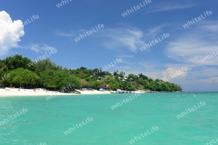 A Beach on the Island of Ko PhiPhi on Ko Phi Phi Island outside of the City of Krabi on the Andaman Sea in the south of Thailand. 