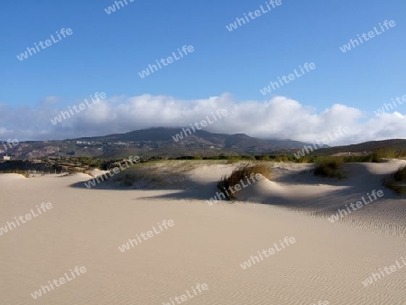 Desert and Mountain