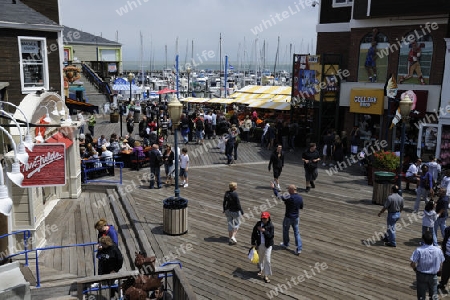  Pier 39 und Fisherman`s Wharf, Touristisches Zentrum  San Francisco, Kalifornien, USA