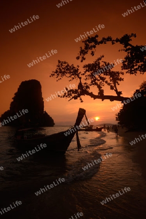 The Hat Phra Nang Beach at Railay near Ao Nang outside of the City of Krabi on the Andaman Sea in the south of Thailand. 