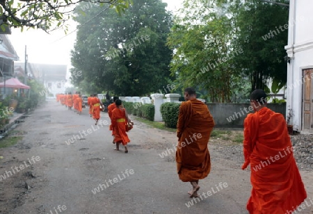 Moenche am fruehen Morgen beim einsammeln von Reis in der Altstadt von Luang Prabang in Zentrallaos von Laos in Suedostasien.  