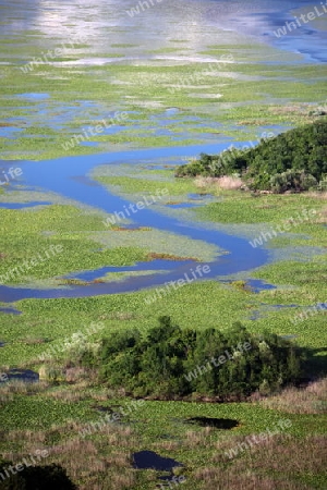 Die Landschaft mit dem Ufer des Skadar See oder Skadarsko Jezerobei Virpazar in Montenegro in Europa.   