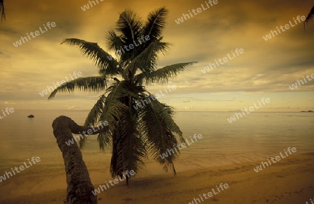 Ein Traumstrand auf der Insel Praslin der Inselgruppe Seychellen im Indischen Ozean in Afrika.