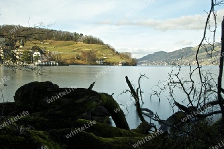 Thunersee im Herbst