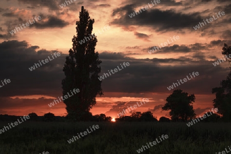 Sonnenuntergang an der Saale