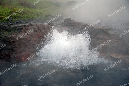 Der Nordwesten Islands, an der gr??ten Thermalquelle Europas, Deildartunguhver, sprudelnde Quellen von hei?em Wasser 