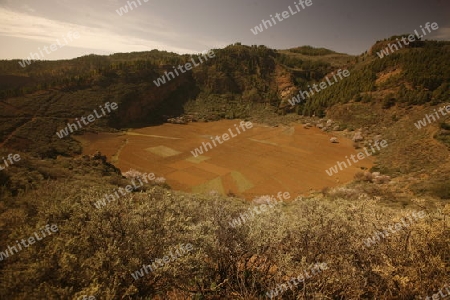 the Landscape allround the  mountain Village of  Tejeda in the centre of the Canary Island of Spain in the Atlantic ocean.