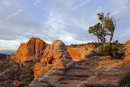 Sonnenaufgang im Canyonlands Nationalpark, Utah, USA